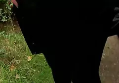 نماینده بیمه تریلر تبلیغاتی. امور کانال فیلم پورن در تلگرام اداری.