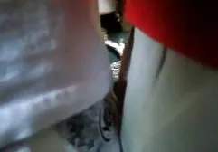 گربه چربی بالغ استفاده بهترین کانال های پورن تلگرام می شود
