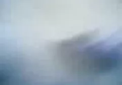 d1rtyb3tty88 کانال pornتلگرام